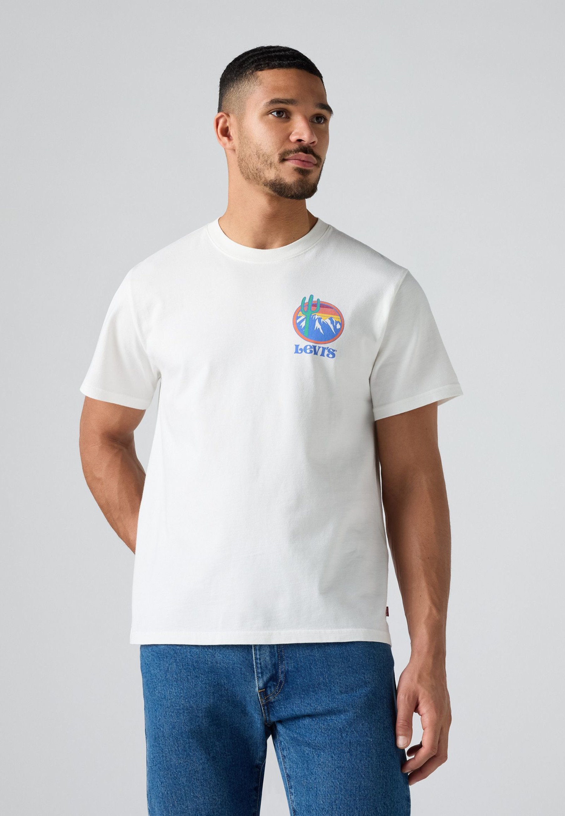 T-shirt Levi's® RELAXED FIT - T-shirt stampata - tendenza cactus quando la natura chiama ballerino delle nuvole