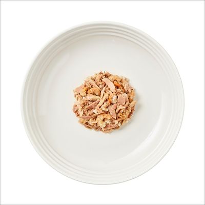 Lata de Encore Cat en caldo 12 x 70 g