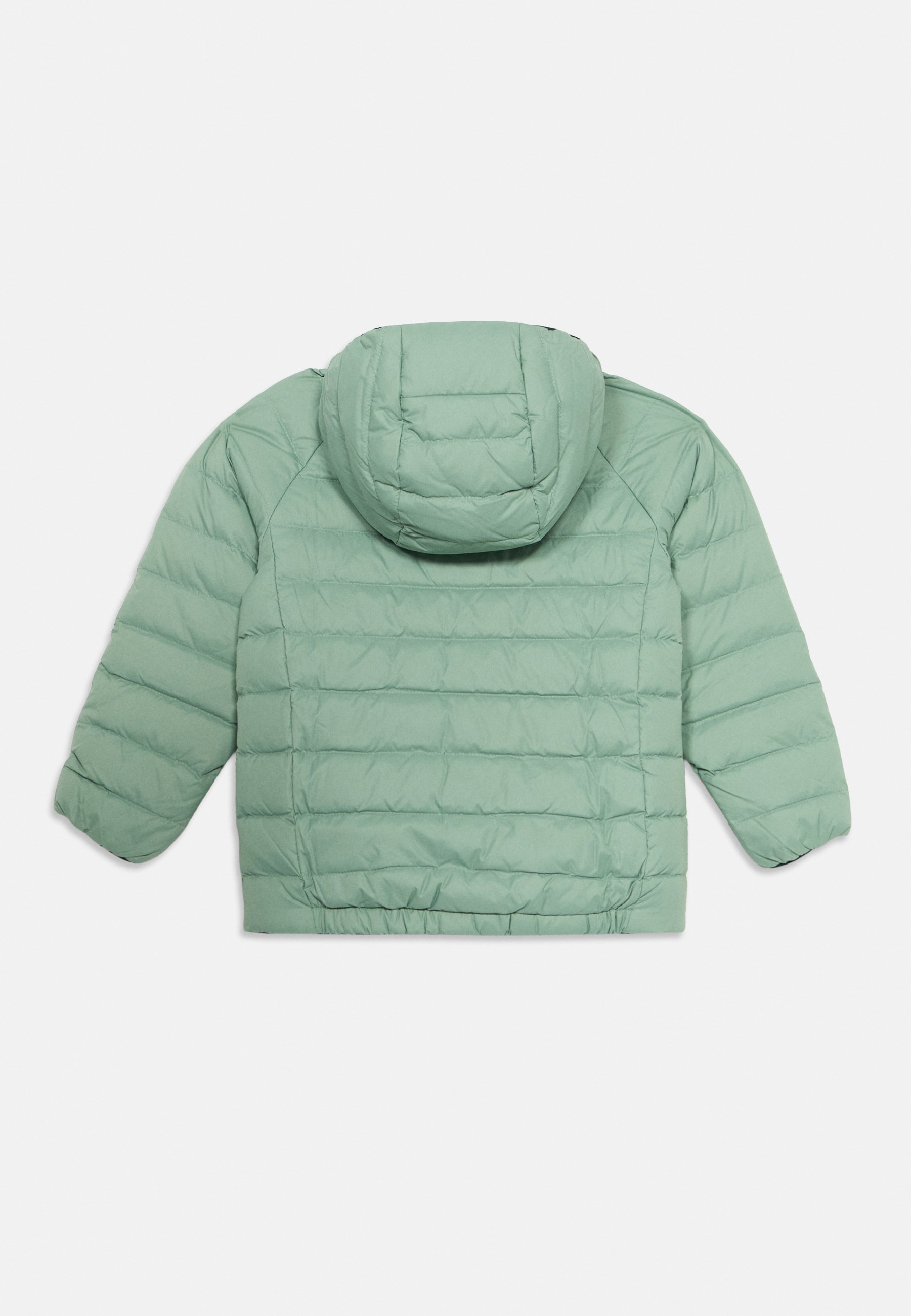 Patagonia BABY WENDBARER HOODY UNISEX - Daunenjacke - Mint/Orange