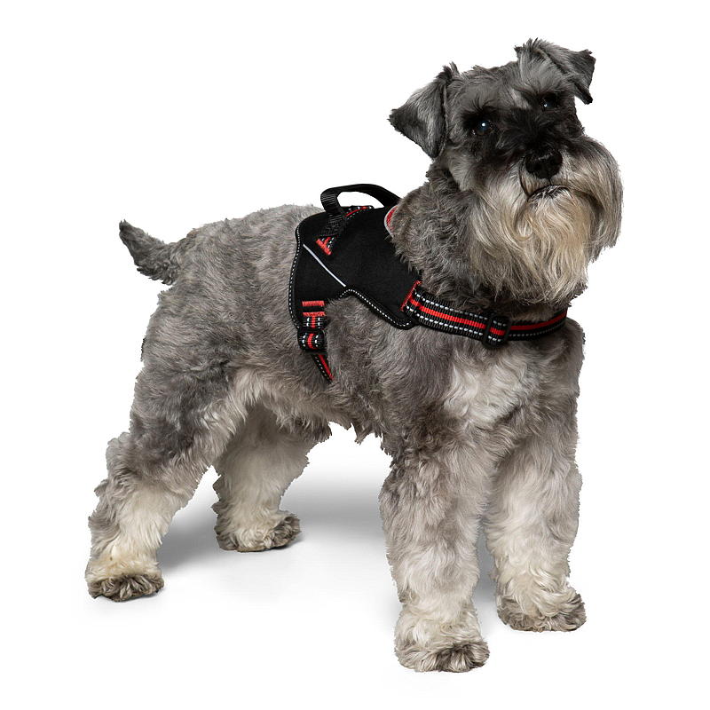 Pettorina per cani Zoozaker, 45 cm, con maniglia