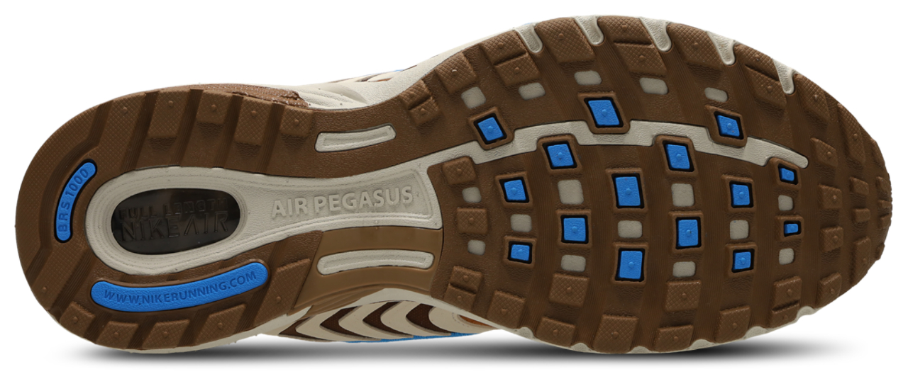 Nike Pegasus 2005