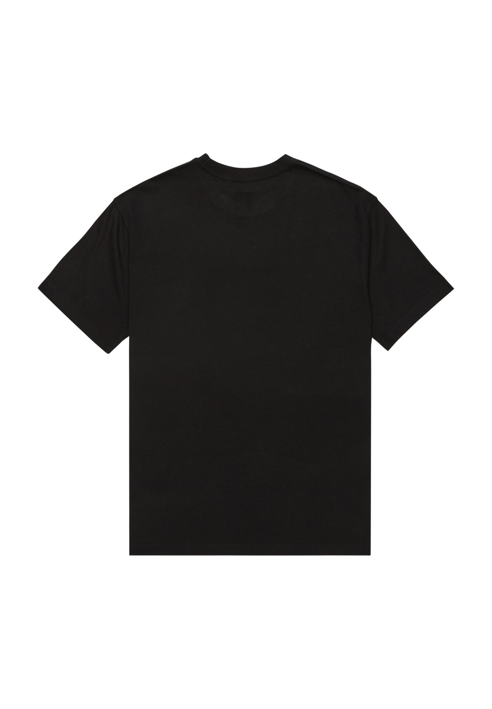 DC Shoes STAR FILLED HSS - T-shirt met print - zwart