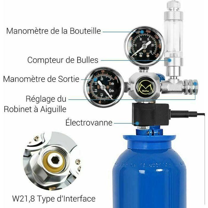 Régulateur de CO2 d'Aquarium avec Adaptateur 12V, Réducteur de Pression pour Aquarium, Manomètre Double inclut Compteur De
