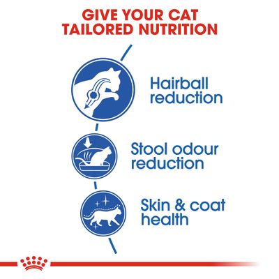 Royal Canin Indoor Langhaar