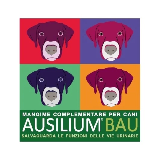 DEAKOS Ausilium Bau 300 gram bankbiljetten