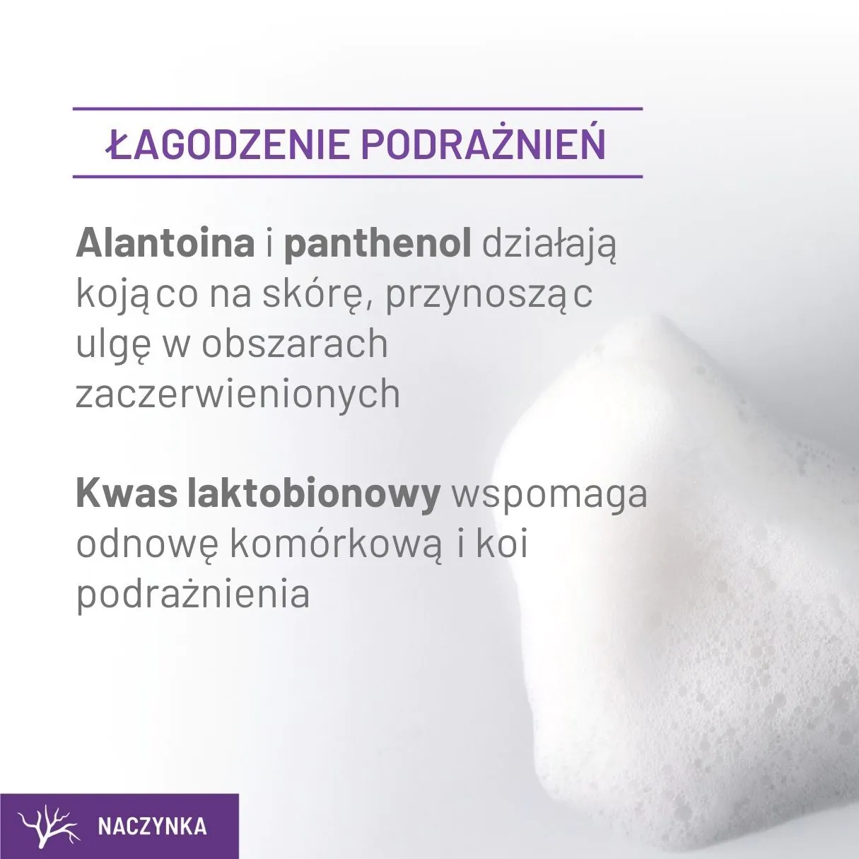 Sylveco Dermo Pianka myjąca do twarzy