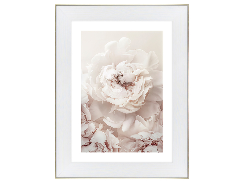Obraz w ramie Spreading Peonies 64x84 cm