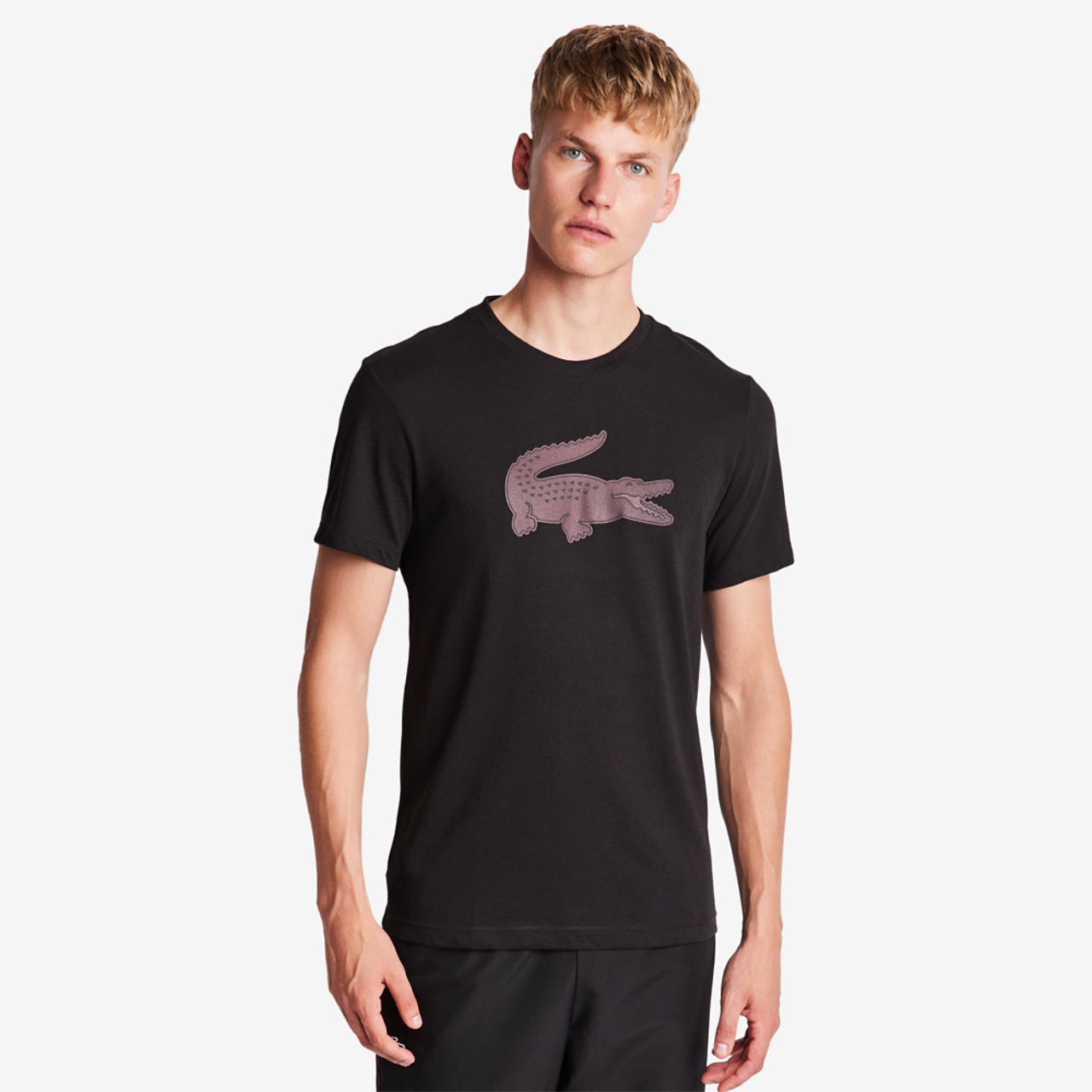 Lacoste Big Croc -logo