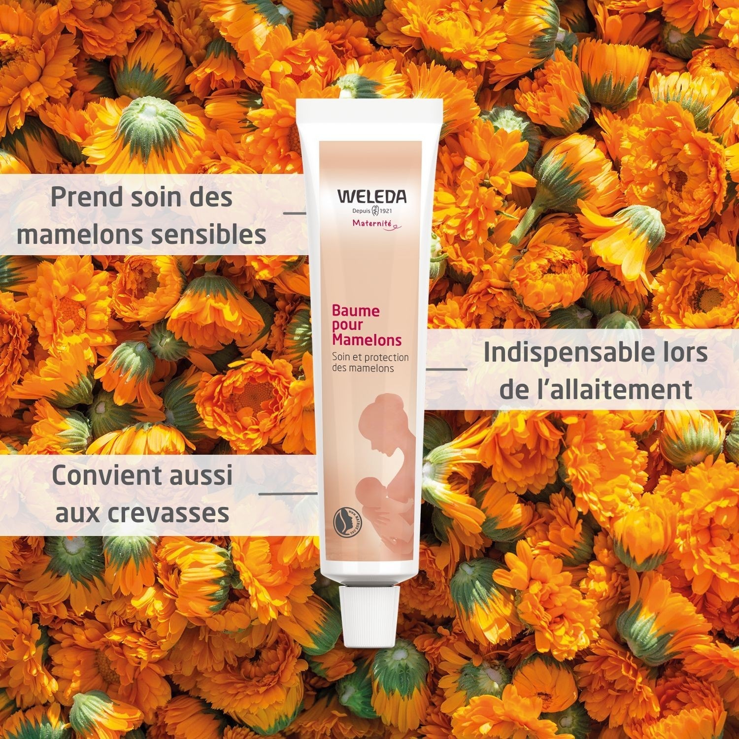 Weleda Baume pour mamelons - 25 ml