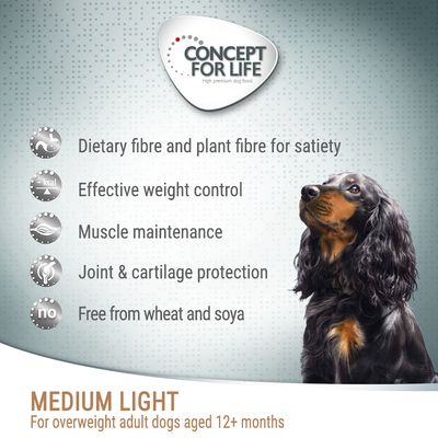 Konzept für das Leben Medium Light