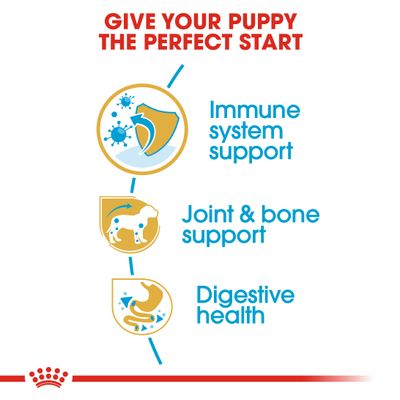 Royal Canin Dackelwelpe