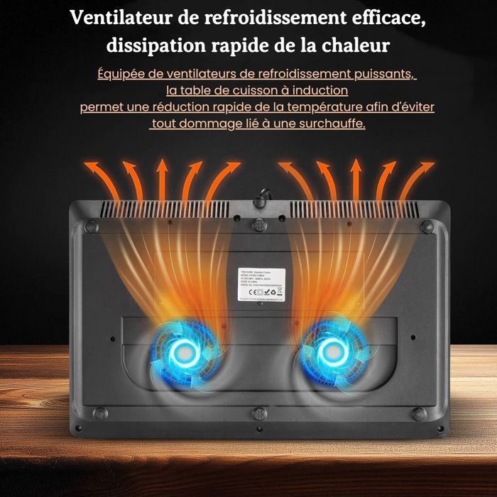 Plaque Induction 2 Feux,Table de cuisson induction,3500W, Écran Tactile, Contrôle Indépendant, 10 Niveaux,Portable