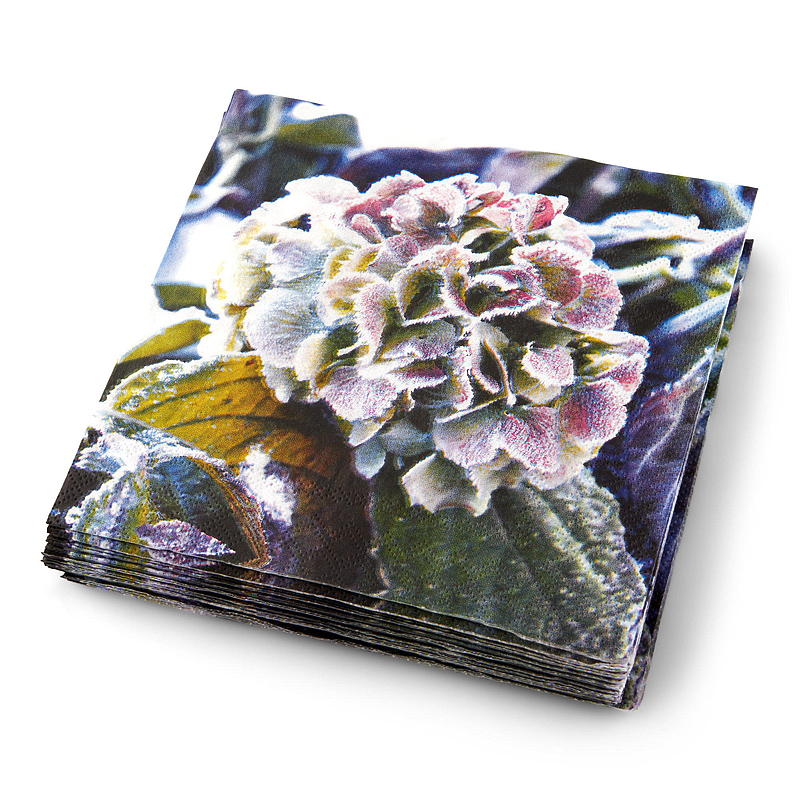 Vie Eco Servietten, 20er-Pack, 33 x 33 cm, Adventskalender