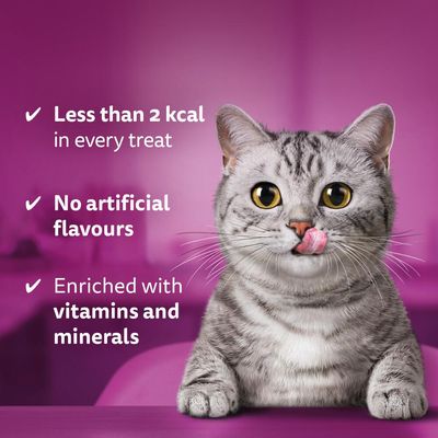 Whiskas Temptations Maxi Pack 180g
