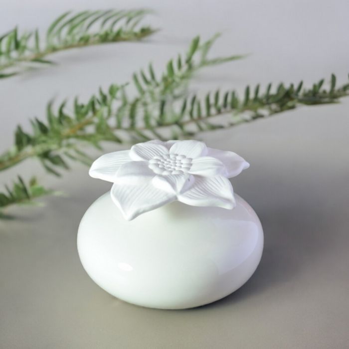 ZEN'AROME - Diffuseur par Capillartié Narcisse Blanc - Décoratif et Coloré - Diffusion Naturelle et Saine - 5 x 10 cm