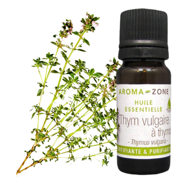 Huile essentielle Thym à thymol 10ml