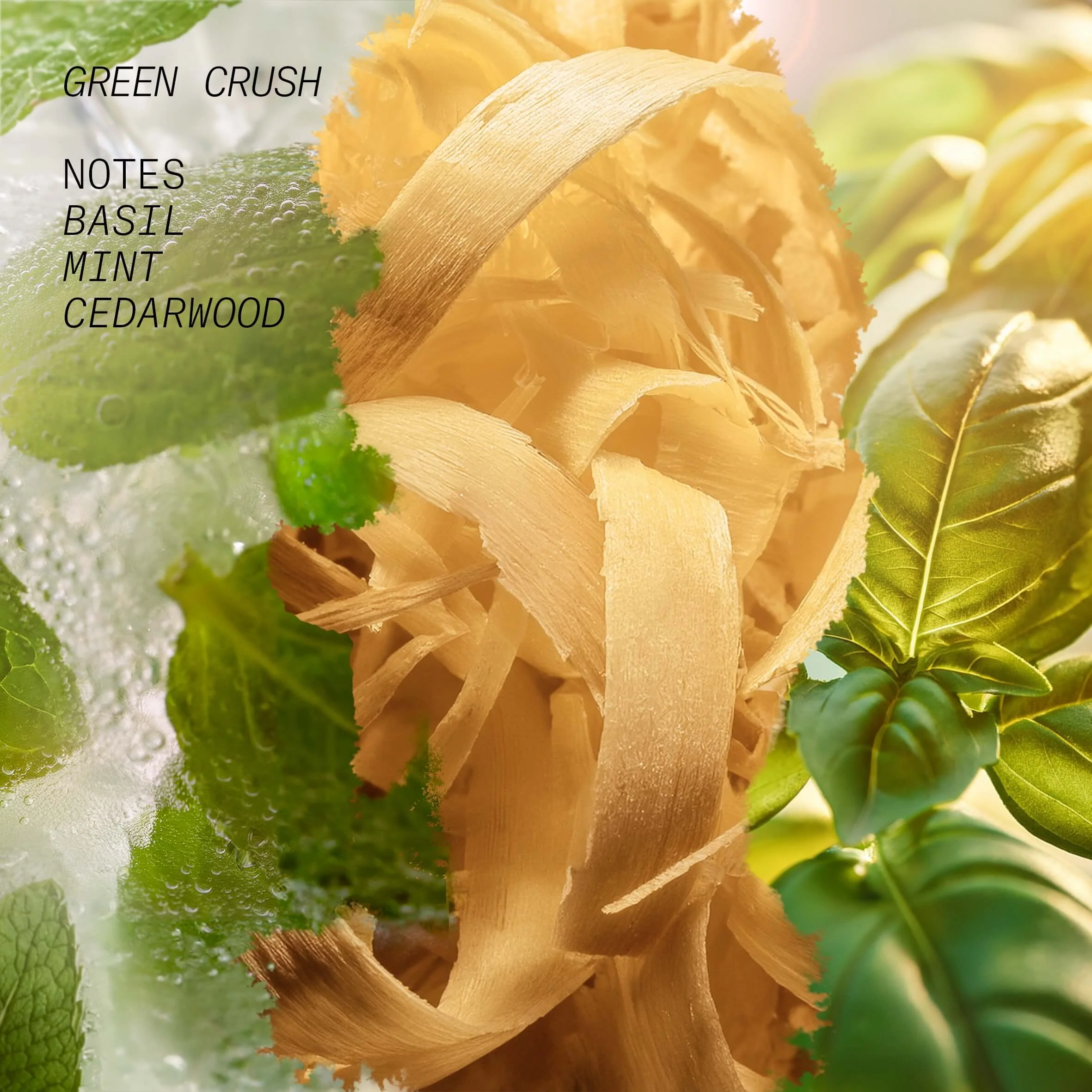 Opus 3 - Shots Of Nature Green Crush - Eau de Parfum Unisex, Eau de Parfum