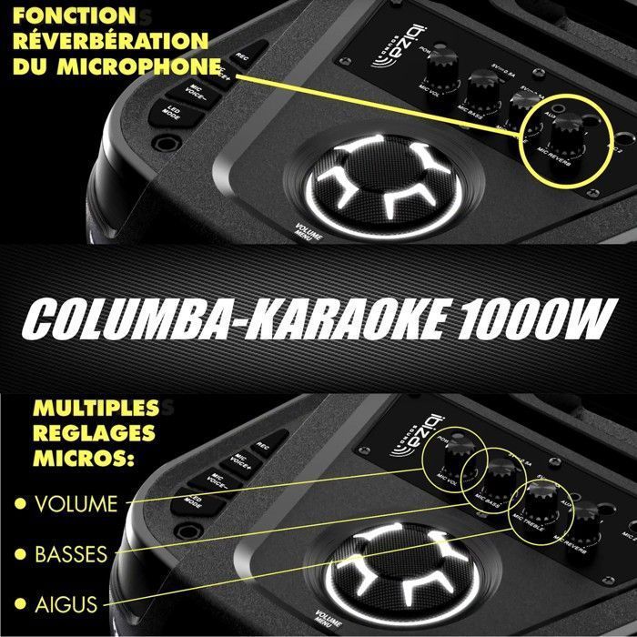 Ibiza COLUMBA-KARAOKE 1000 W Bluetooth USB Karaoke Kaiutin Valoilla - 2 Langatonta Mikrofonia - Mini Vedenpitävä Kaiutin
