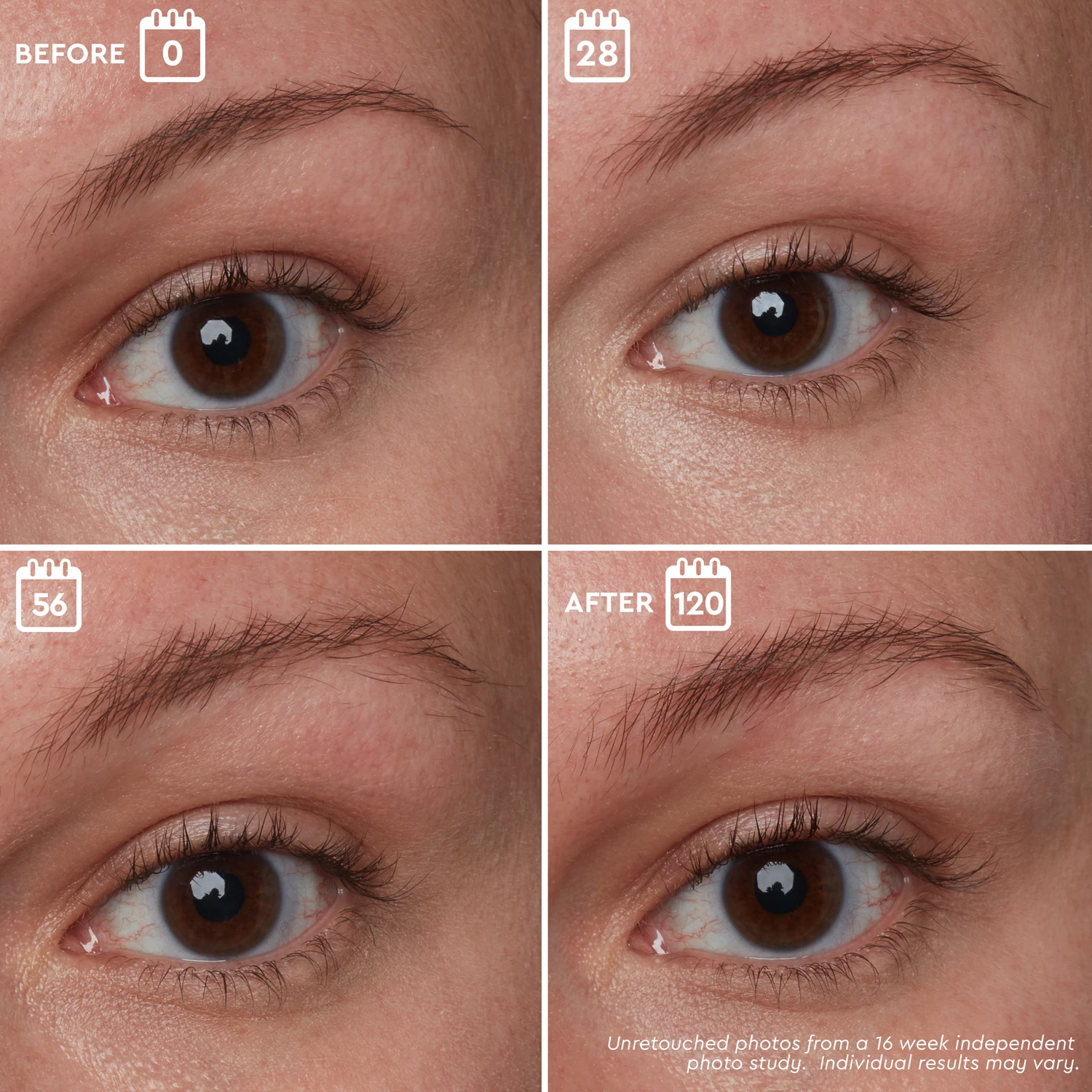 Brow Genius szemöldökszérum - Anastasia