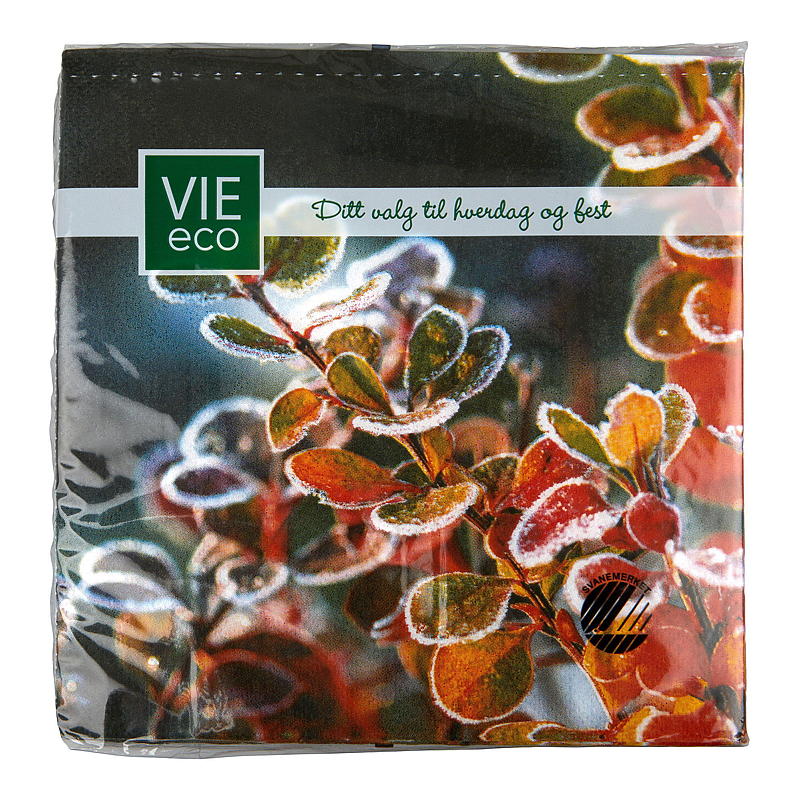Vie Eco Servietter 20-pakning 33x33 cm, Vinter