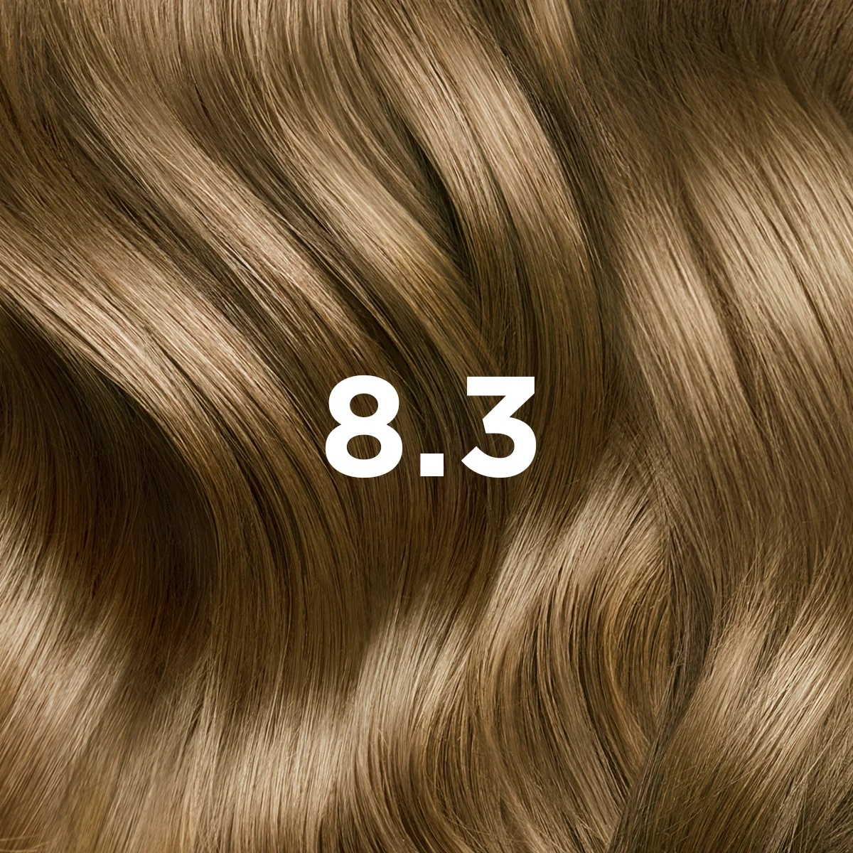 PHYTO Phytocolor 8.3 Blond doré clair, coloration permanente sans ammoniaque, couverture à 100 % des cheveux blancs
