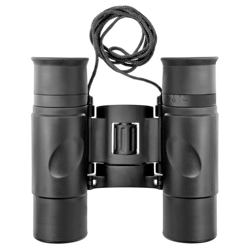 Binoclu Hunter Bresser 10x25