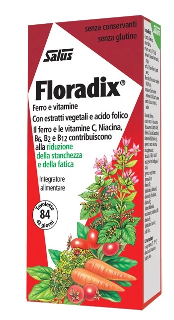 FLORADIX Floradix 84 tabletten IJzer- en vitaminesupplement