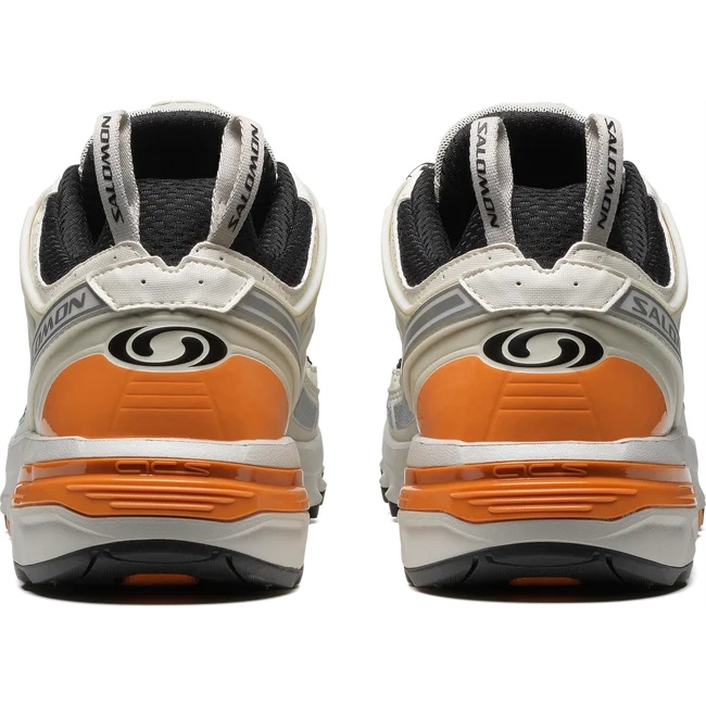 ACS PRO
