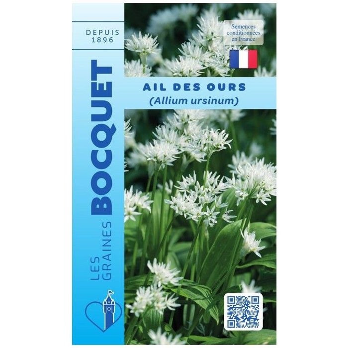 Semilla - Semilla - Ajo Silvestre - Allium ursinum