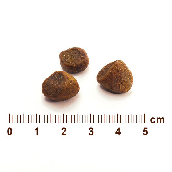 Prémiové suché krmivo pro psy Wild Roots, 4 x 2 kg, kuřecí a krůtí