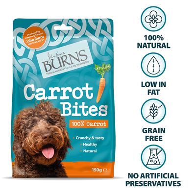 Bouchées de carottes Burns