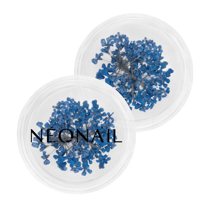Neonnail