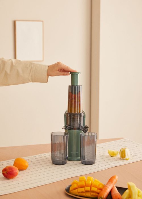 Extracteur de jus lent - Create - Mini - 150W - Fonction inverse - Compact