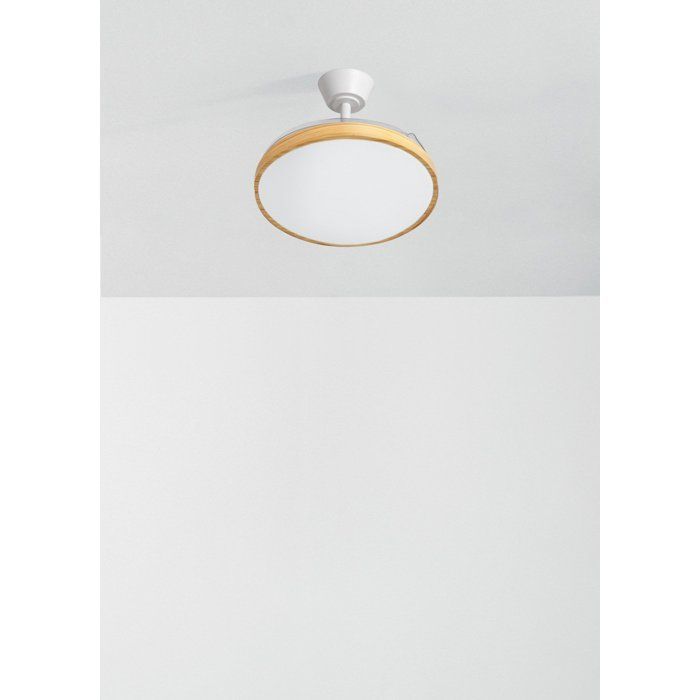 Ventilatore da soffitto - Create - WIND CLEAR STUDIO - Silenzioso - Pale retrattili - LED