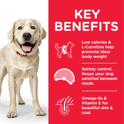 Hill's Science Plan Adult 1-5 Light Large Breed with Chicken