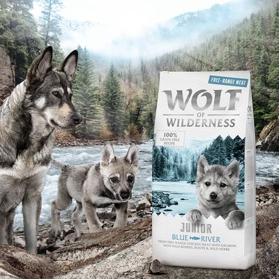 Wolf of Wilderness Junior 