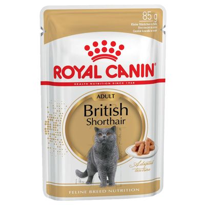Royal Canin Britisch Kurzhaar Adult in Gravy
