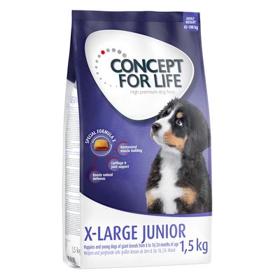 Concept for Life X-Large Junior