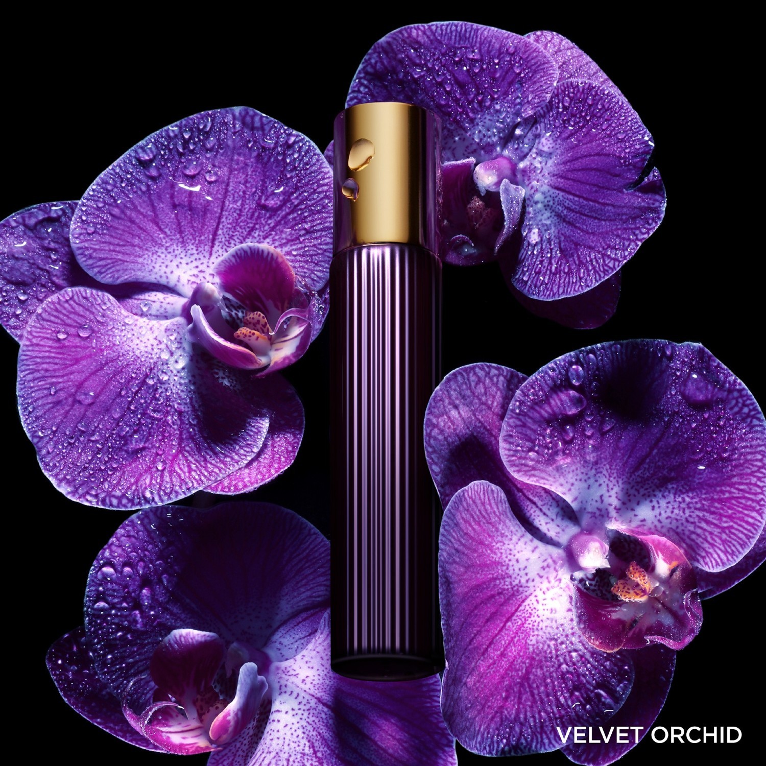 TOM FORD Signature Fragrances parfemska voda Velvet Orchid – 50 ml