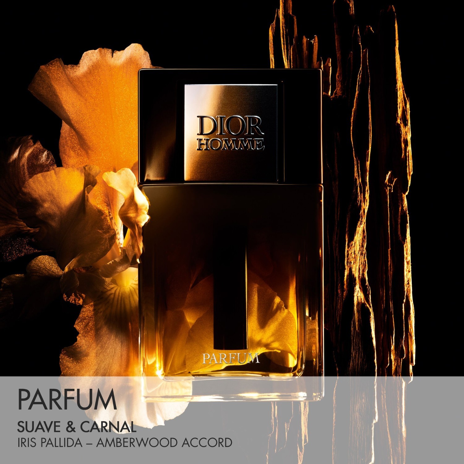 DIOR Parfem Dior Homme - 50 ml