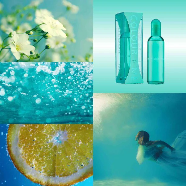 Colour Me Femme Aqua 100ml EDP