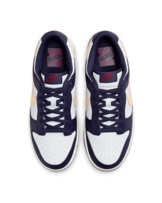 Nike Dunk Low Retro Men's Shoes