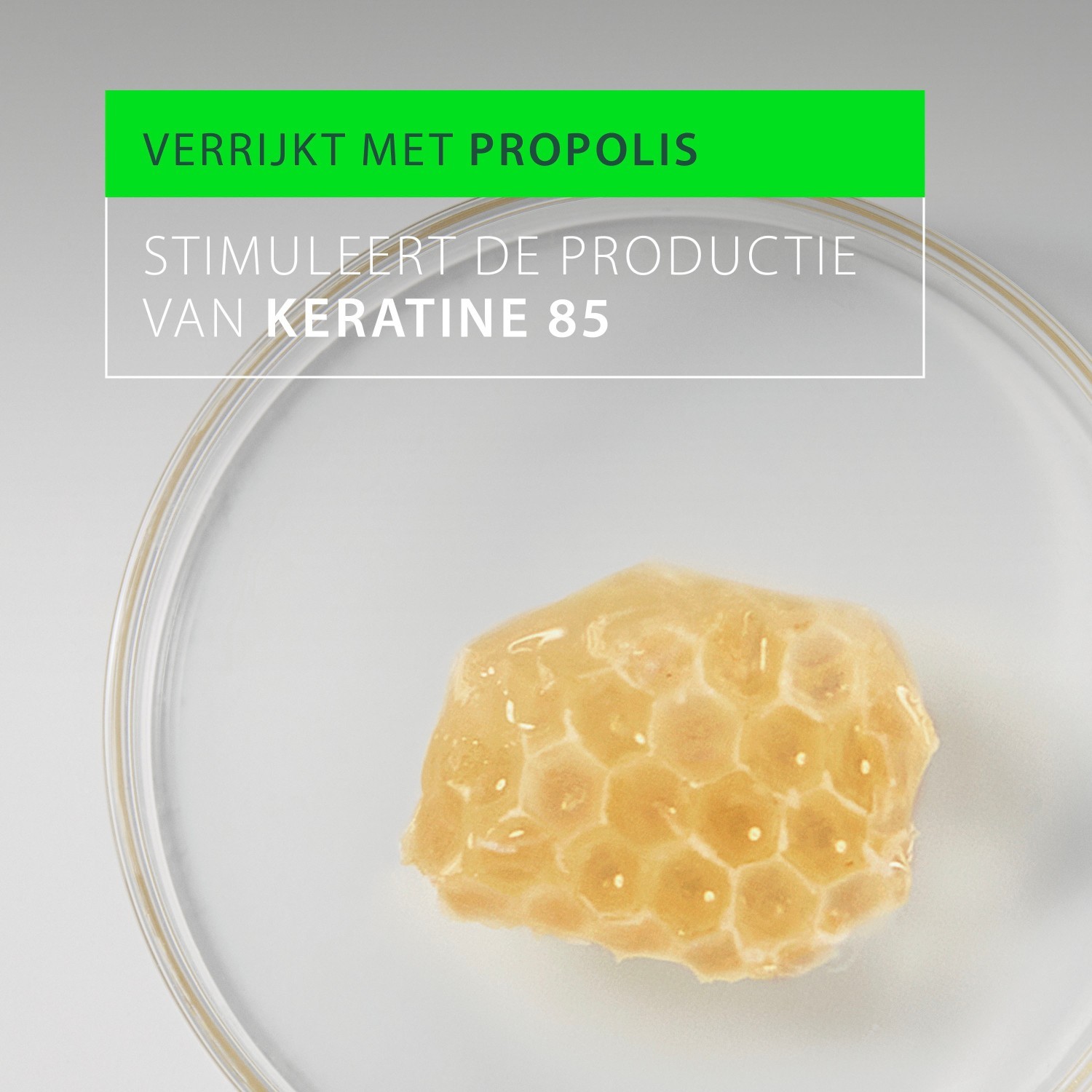 René Furterer Haarkur Triphasic Reactional - 60 ml