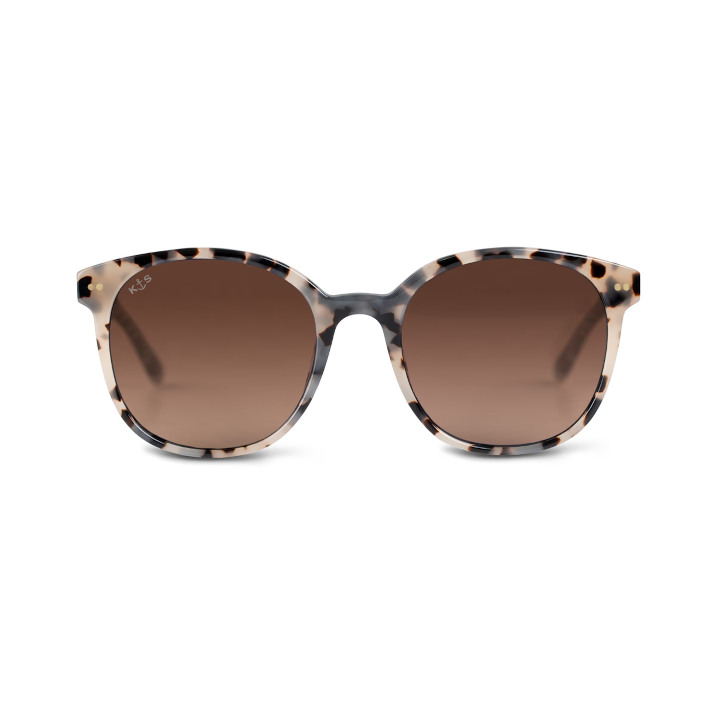 Tortue des sables de Nairobi brune