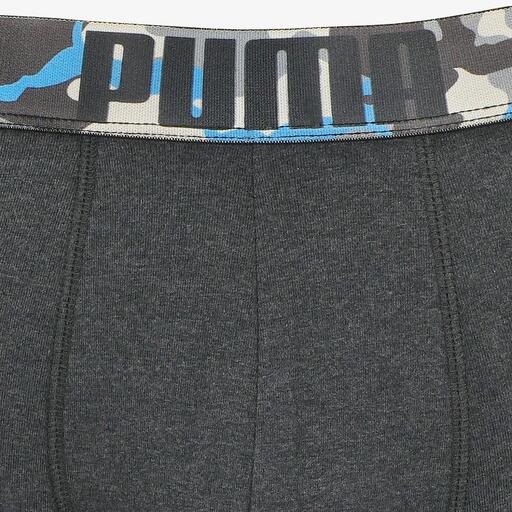 Puma Puma