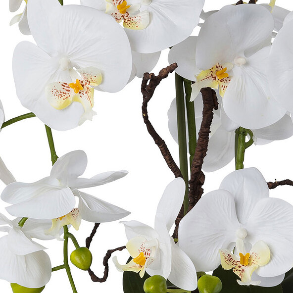 Aranjament artistic Phalaenopsis într-un ghiveci argintiu, 55 cm