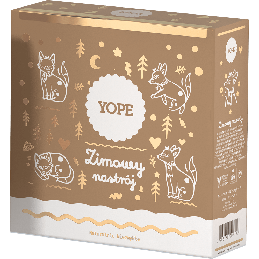 Ambiance hivernale de Yope