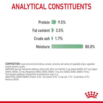 Royal Canin Digestive Care in Gravy