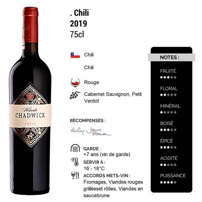 Viño Chadwick Chile 2019 - Vinho Tinto do Chile (75cl)