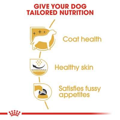 Royal Canin West Highland White Terrier Adult